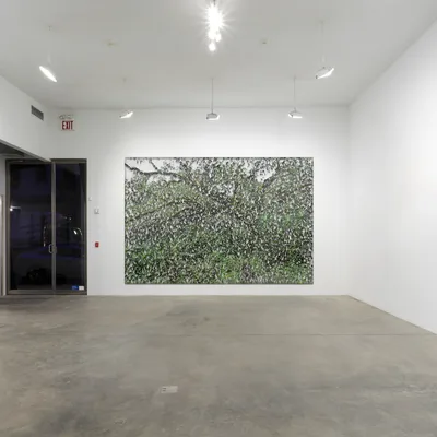 20120111 Alex Fischer Untitled Greens mockup 01.jpg